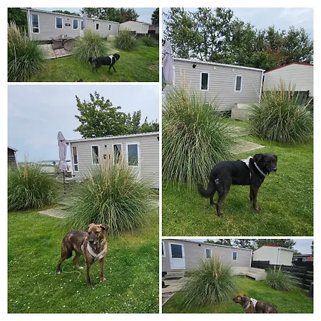 Watt-fee Semesterbostad